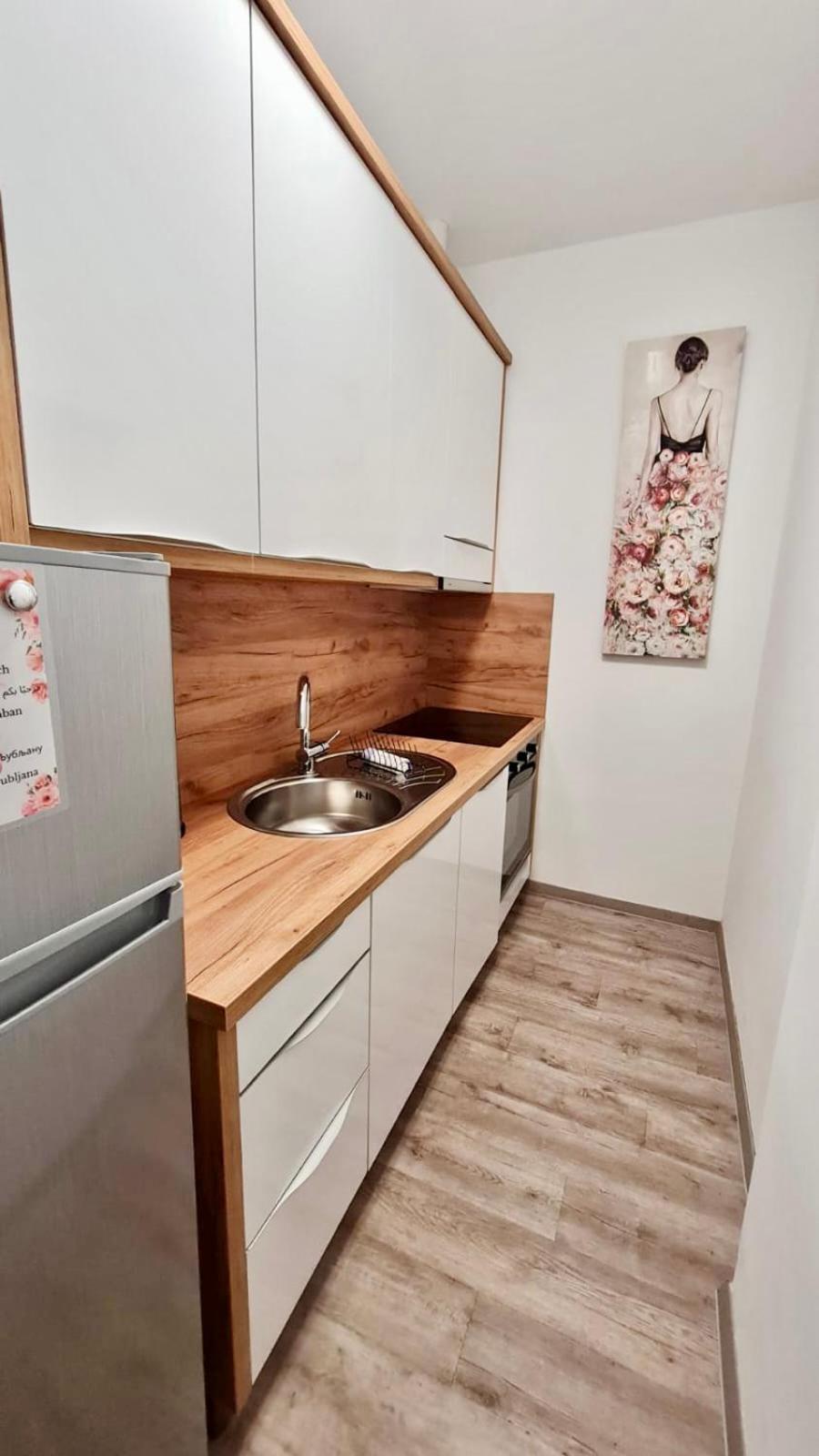 Ljubljana Central Lux Apartment With Free Parking Luaran gambar